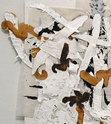 Details of the collage - Peel and Flakes.
