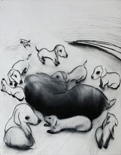 Drypoint Puppies by Lisa Andrén