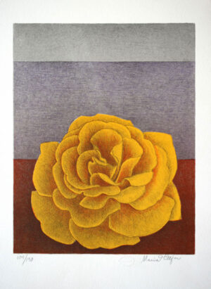 Litografi Den gyllene rosen av Maria Hillfon.