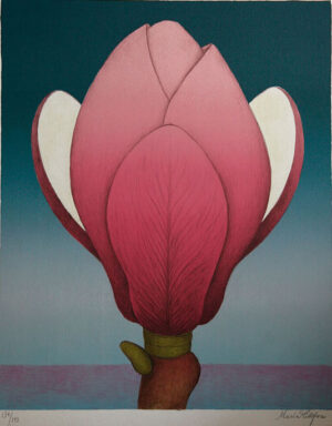 The Birth, Magnolia - Lithograph by Maria Hillfon.