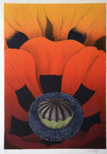 Papaver - Lithograph by Maria Hillfon.