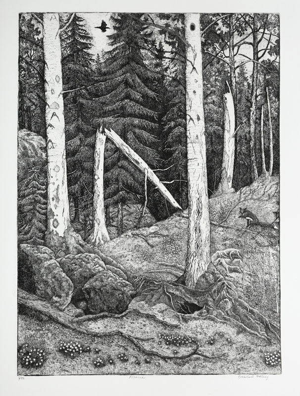 The Aspen Trees - Etching by Eva Holmér Edling.