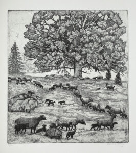 Herd of Sheep - Etching by Eva Holmér Edling.