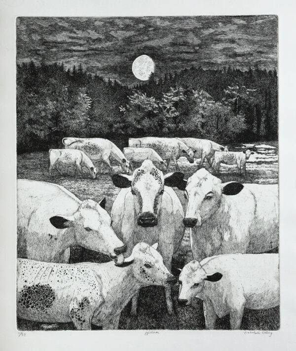 Mountain Cows below Moon in August - Etching by Eva Holmér Edling.g.