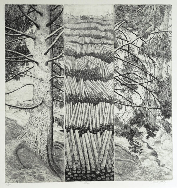 The Forest - Etching by Eva Holmér Edling.