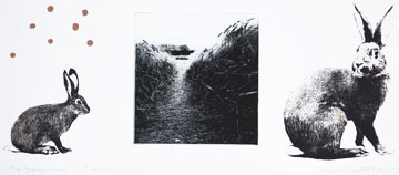 Come on - Photogravure/Serigraph by Catharina Warme Hellström.