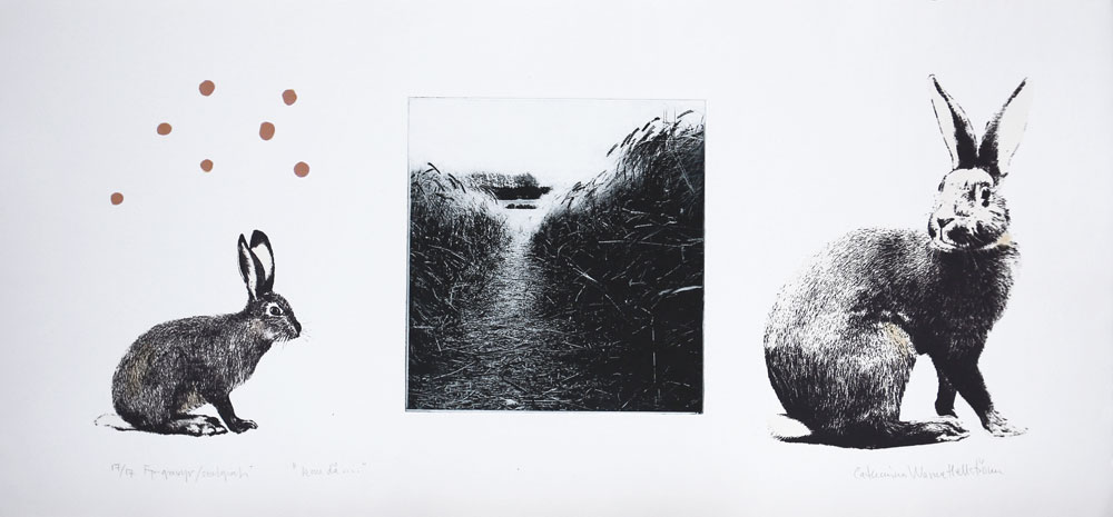 Come on - Photogravure/Serigraph by Catharina Warme Hellström.