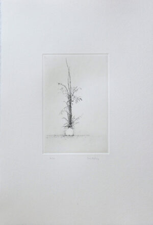 Bamboo - Drypoint by Lars Nyberg.