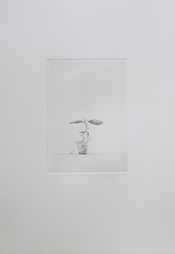 Maev´s Peculiar Plant - Drypoint by Lars Nyberg.