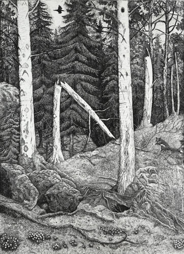 The Aspen Trees - Etching by Eva Holmér Edling.