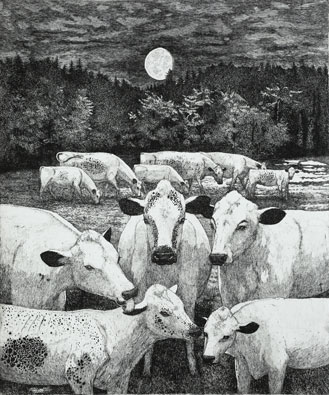 Mountain Cows below Moon in August - Etching by Eva Holmér Edling.