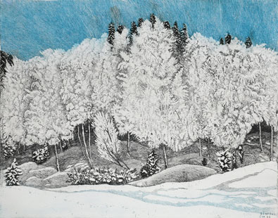 Frost - Etching by Eva Holmér Edling.