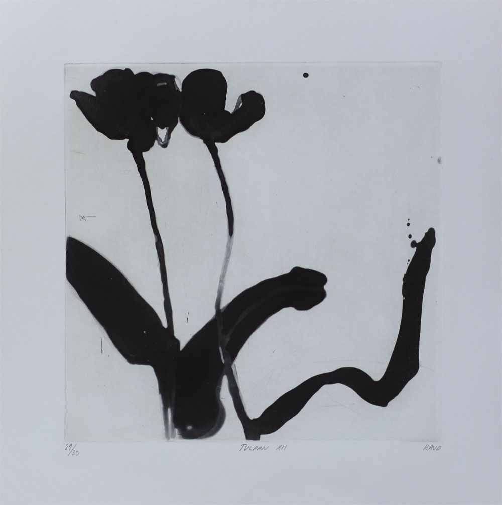 Tulip VII - Etching by Pontus Raud.