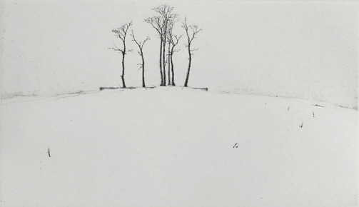 The Grove - Drypoint by Lars Nyberg.