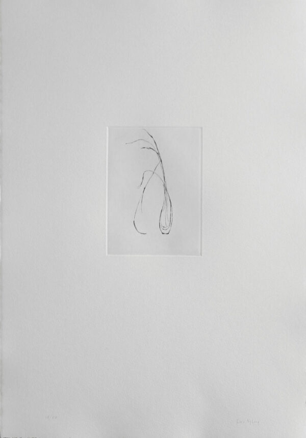 A Grass in a Vase - Drypoint by Lars Nyberg.