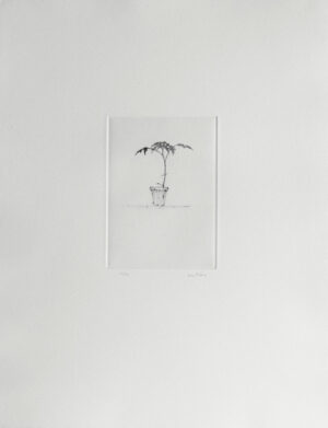 Small Plant - Drypoint by Lars Nyberg.