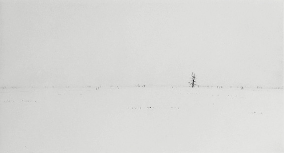 Winter Field - Drypoint by Lars Nyberg.