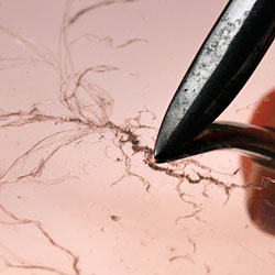 Close-up of processing of the copper plate.