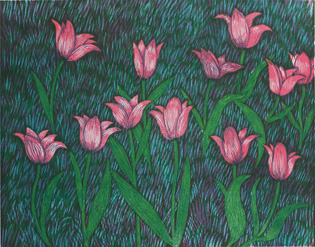 Pink Tulips - Woodcut by Peter Ern.