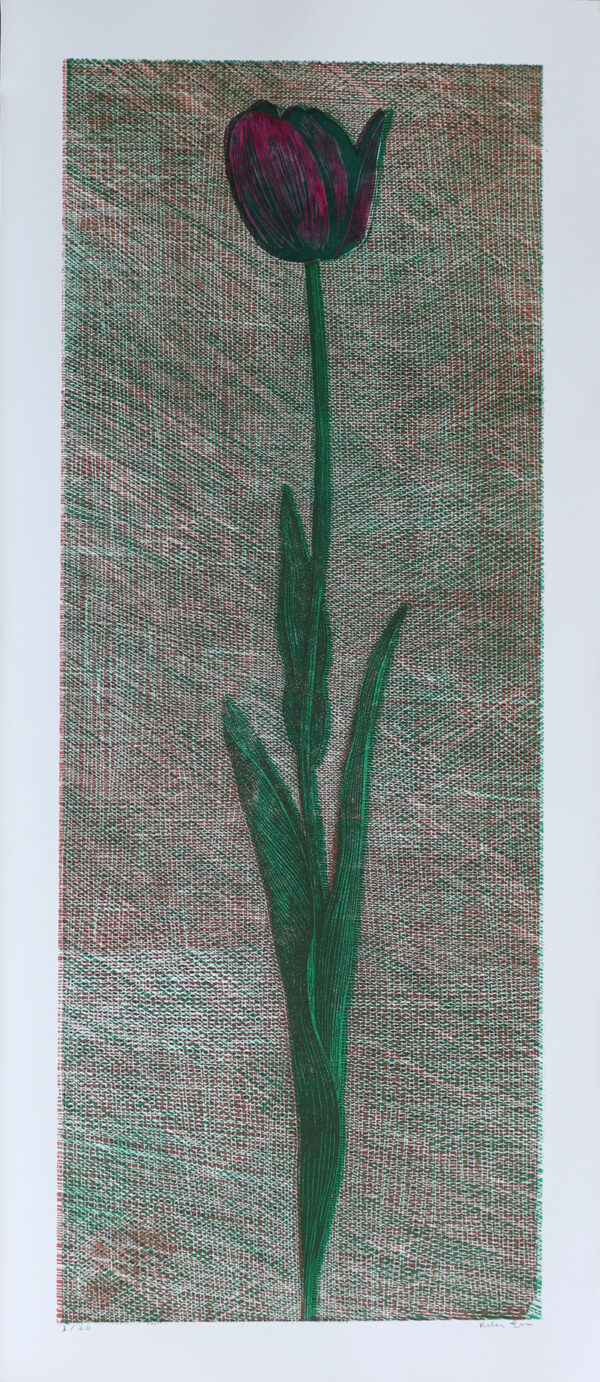 Tulip - Woodcut by Peter Ern.