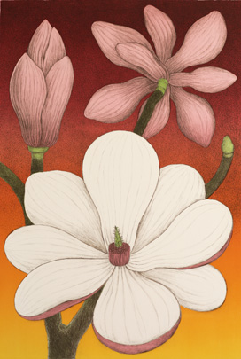 Magnolia - Lithograph by Maria Hillfon.