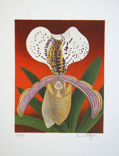 Litografi Orkidé av Maria Hillfon.