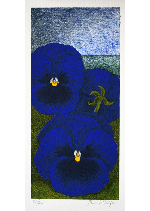 Pansies - Lithograph by Maria Hillfon.