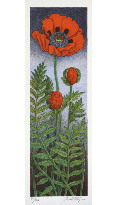 Poppy - Lithograph by Maria Hillfon.
