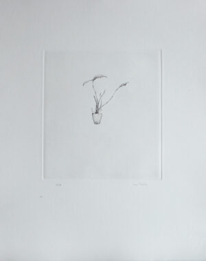 Orchid - drypoint by Lars Nyberg
