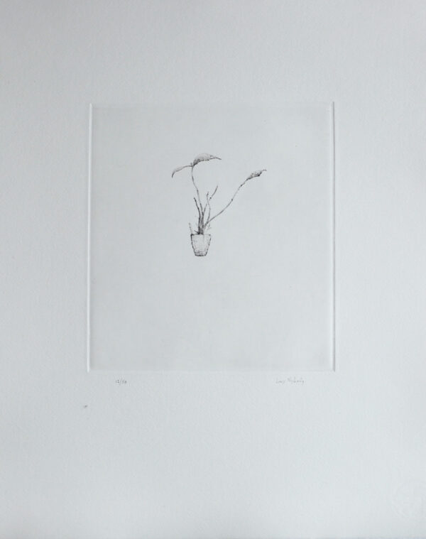 Orchid - drypoint by Lars Nyberg