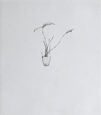 Orchid - Drypoint by Lars Nyberg