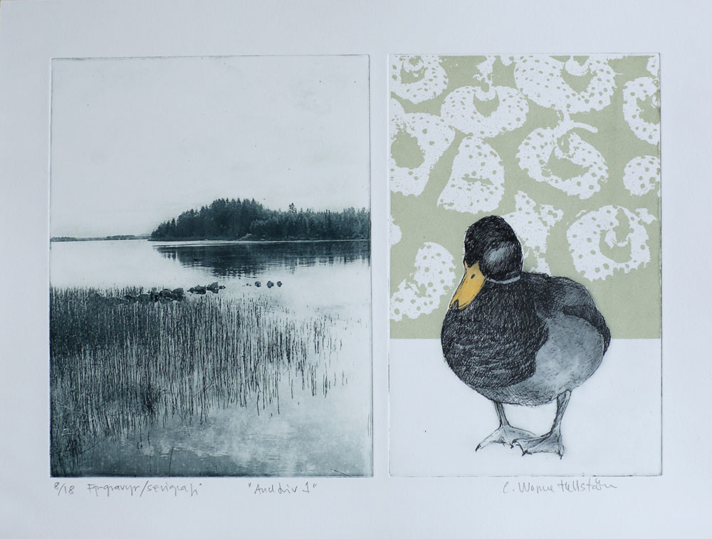 Life of Duck 1 - Photogravure/Serigraph by Catharina Warme Hellström