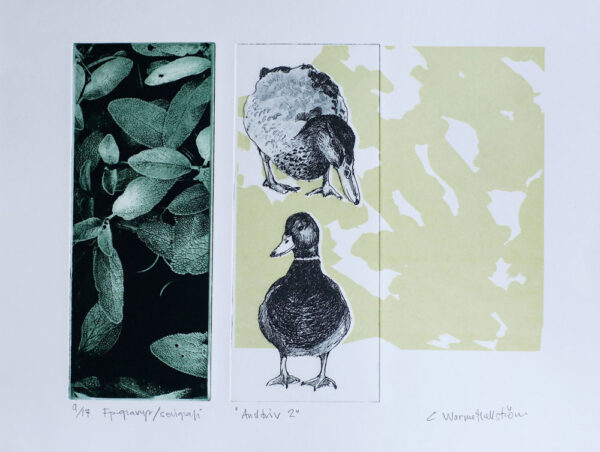 Life of Duck 2 - Photogravure/Serigraph by Catharina Warme Hellström