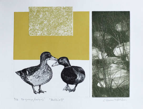 Life of Duck 3 - Photogravure/Serigraph by Catharina Warme Hellström