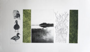 Duck Space - Photogravure/Serigraph by Catharina Warme Hellström