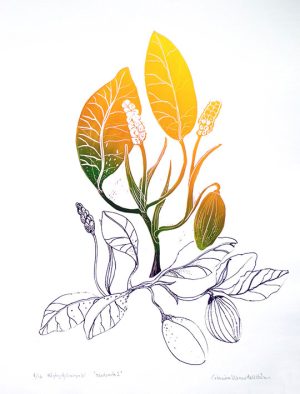 Foliage 1 - Linocut/Serigraph by Catharina Warme