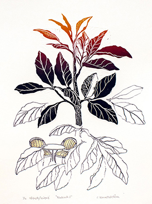 Foliage 2 - Linocut/Serigraph by Catharina Warme